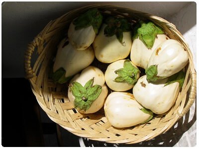 traditional products of Santorini | White eggplant