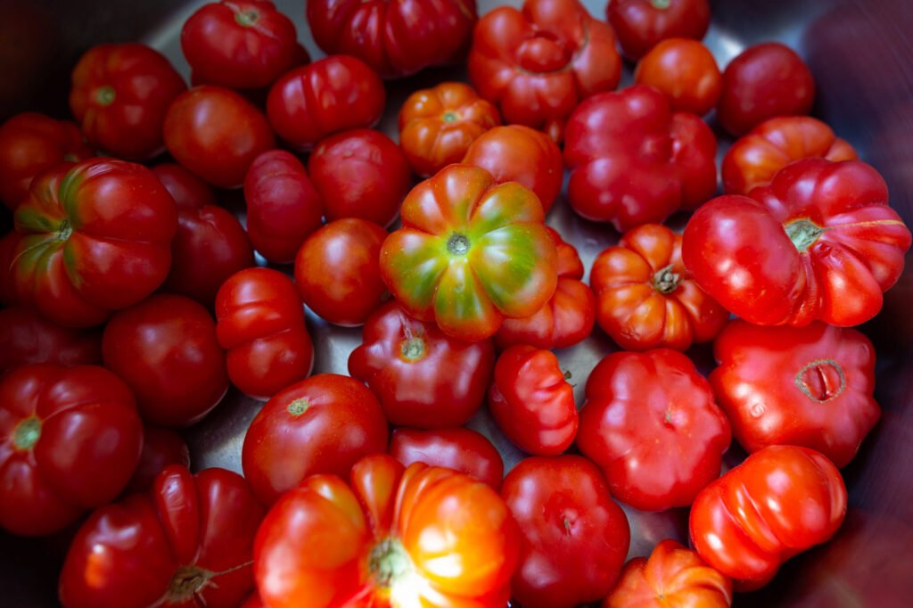 traditional products of Santorini | Cherry tomatoes